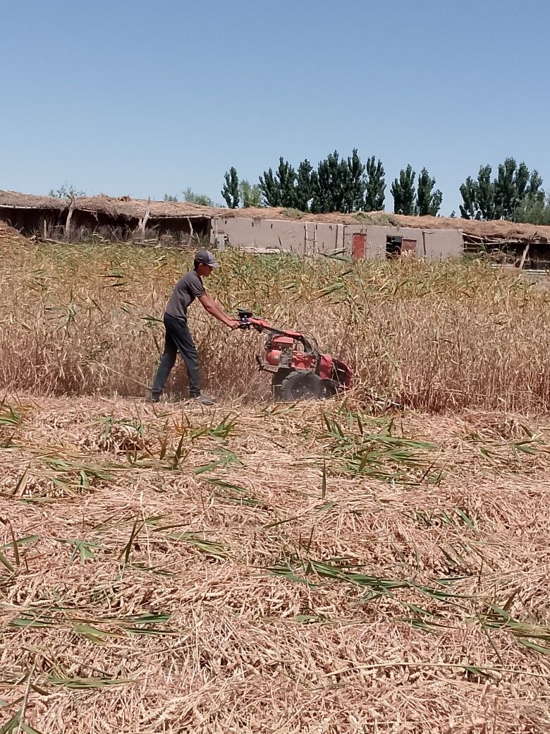 MTZ T-28 2025 - 18 000 TMT - Gubadag - img 10
