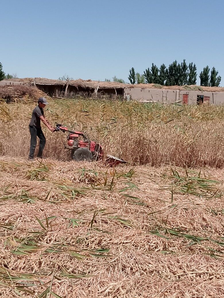 MTZ T-28 2025 - 18 000 TMT - Gubadag - img 8