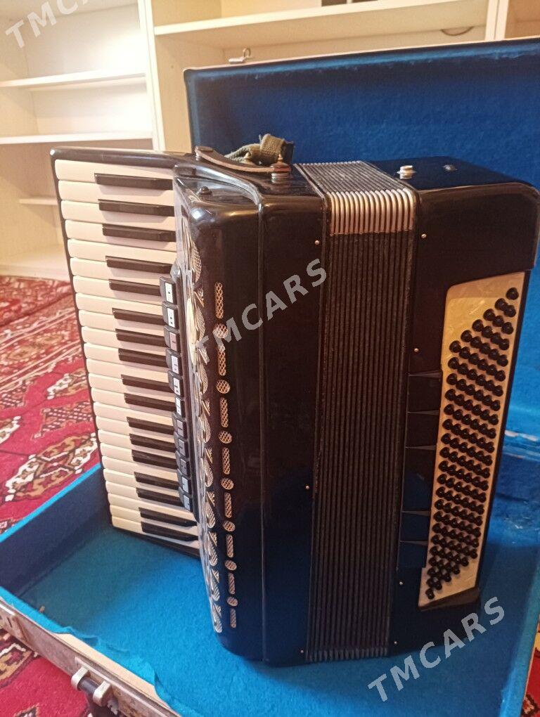 Akardeon - Daşoguz - img 2