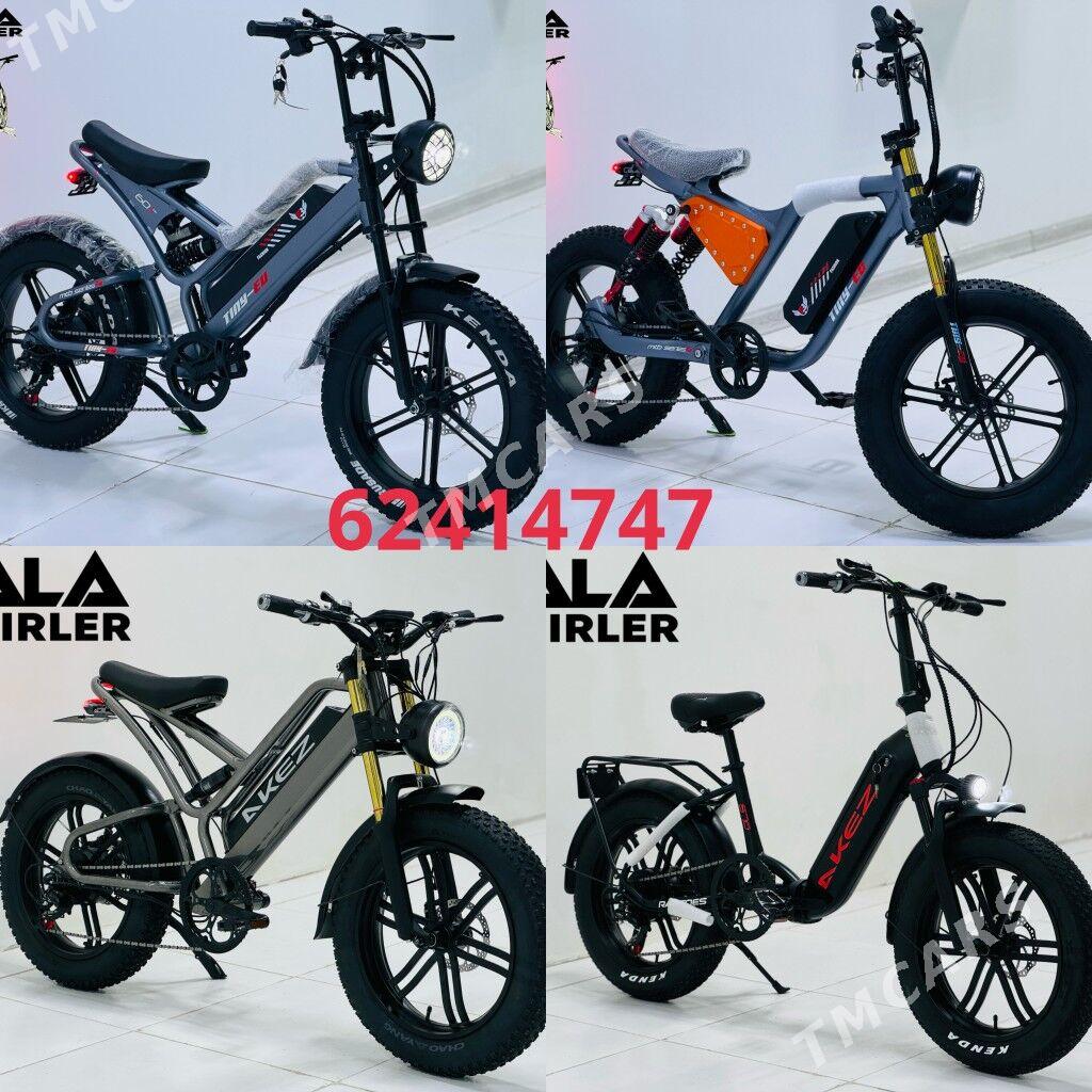 TIGIR SMAAKAT GONCYK MATOR TOK - Гуртли - img 5