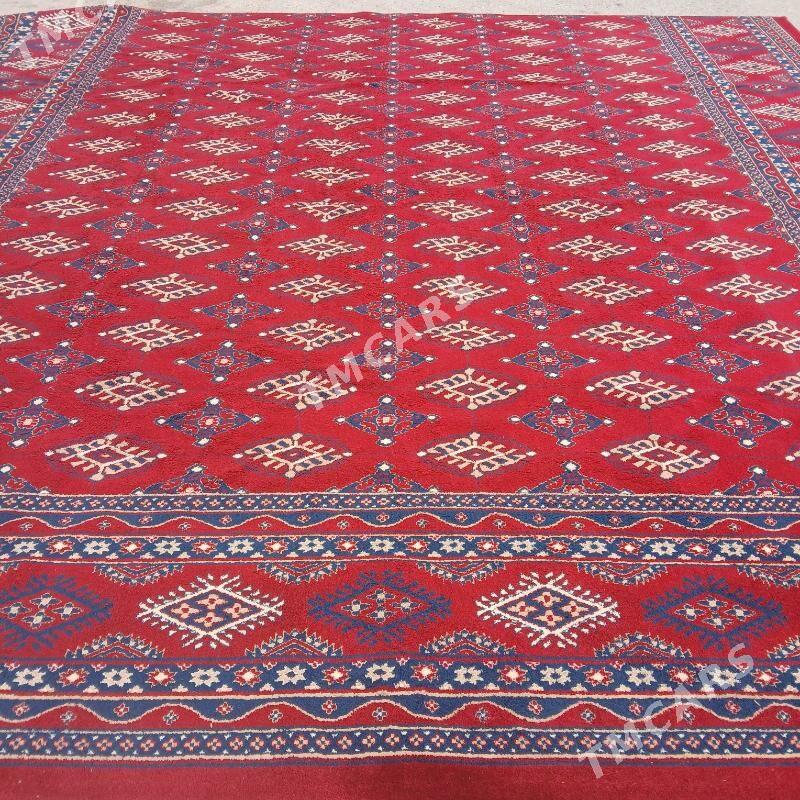 haly - Aşgabat - img 4
