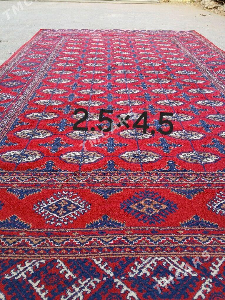 haly - Aşgabat - img 3