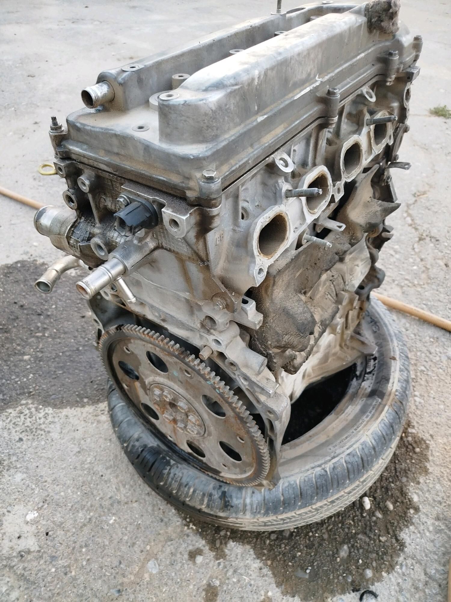 2.4 Mator okuz kelle 2 000 TMT - Гёкдепе - img 2