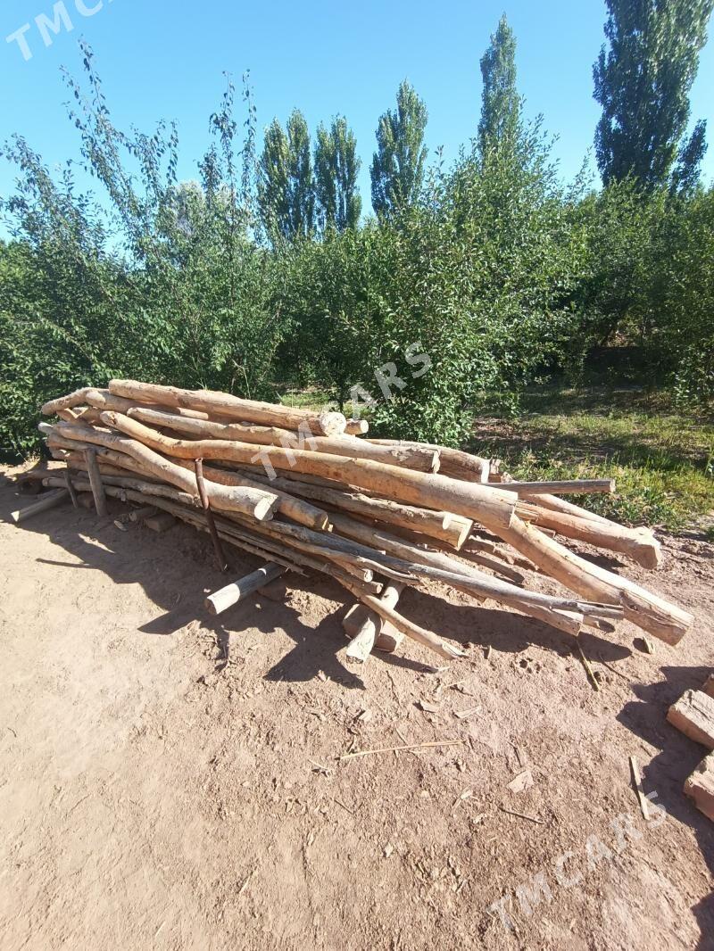 agac hada ugolnik - Daşoguz - img 2
