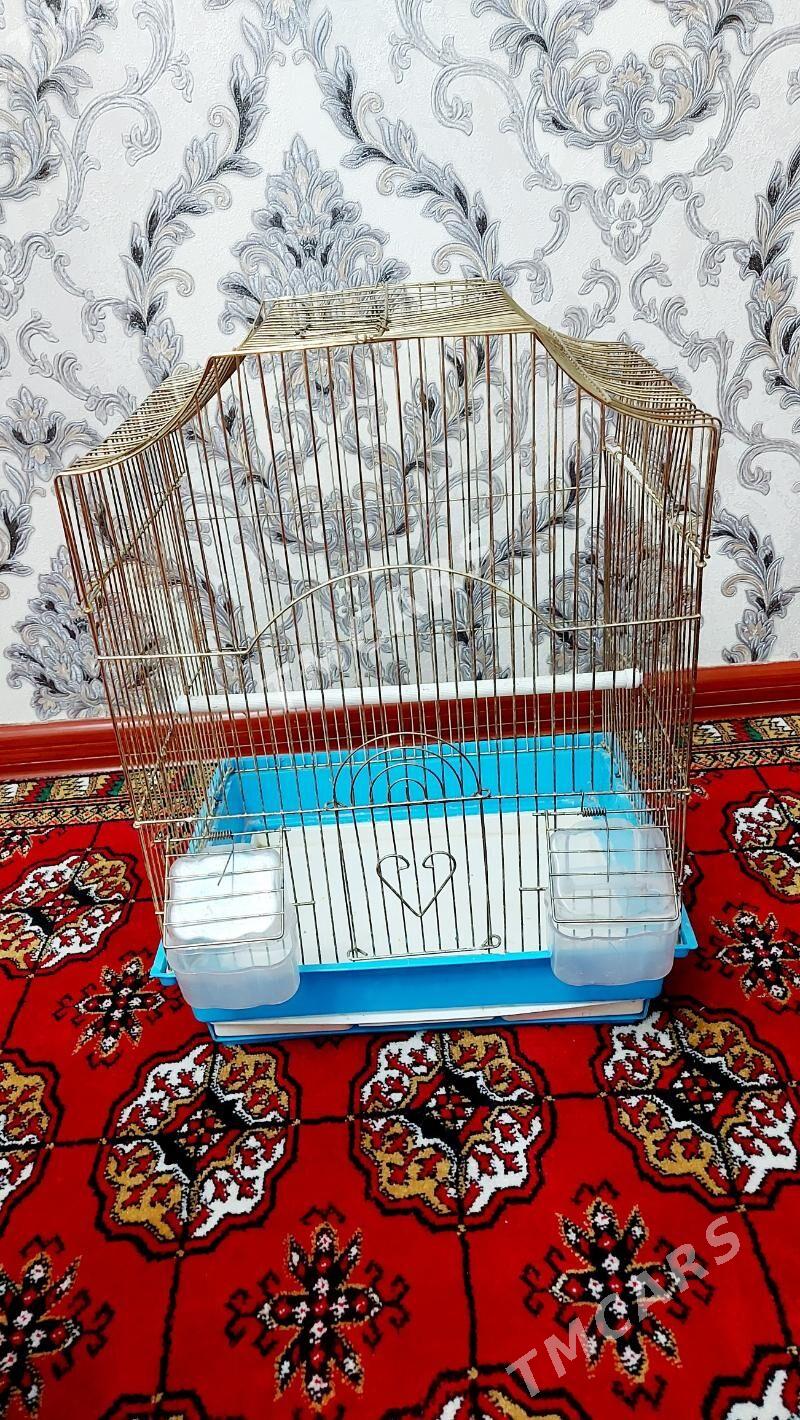 клетка для попугая - Aşgabat - img 2