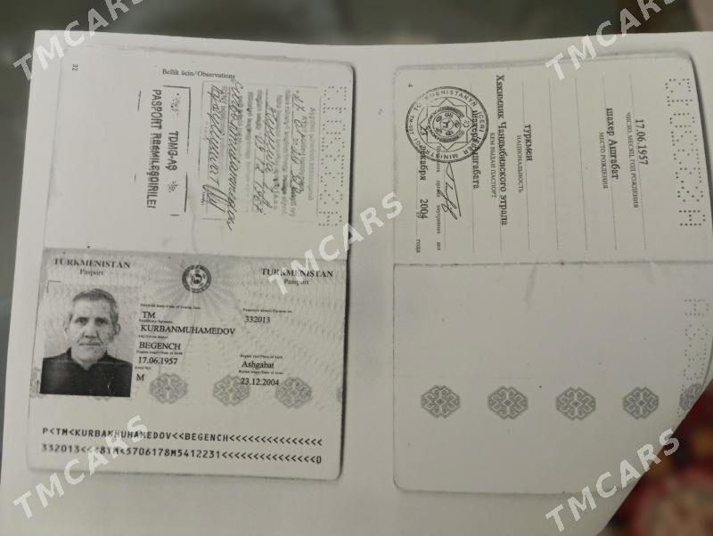 pasport yitdi - Кëши - img 2