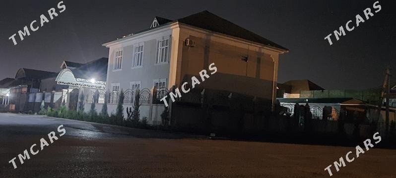 anew kotej elitka abmen etjek - Анев - img 2