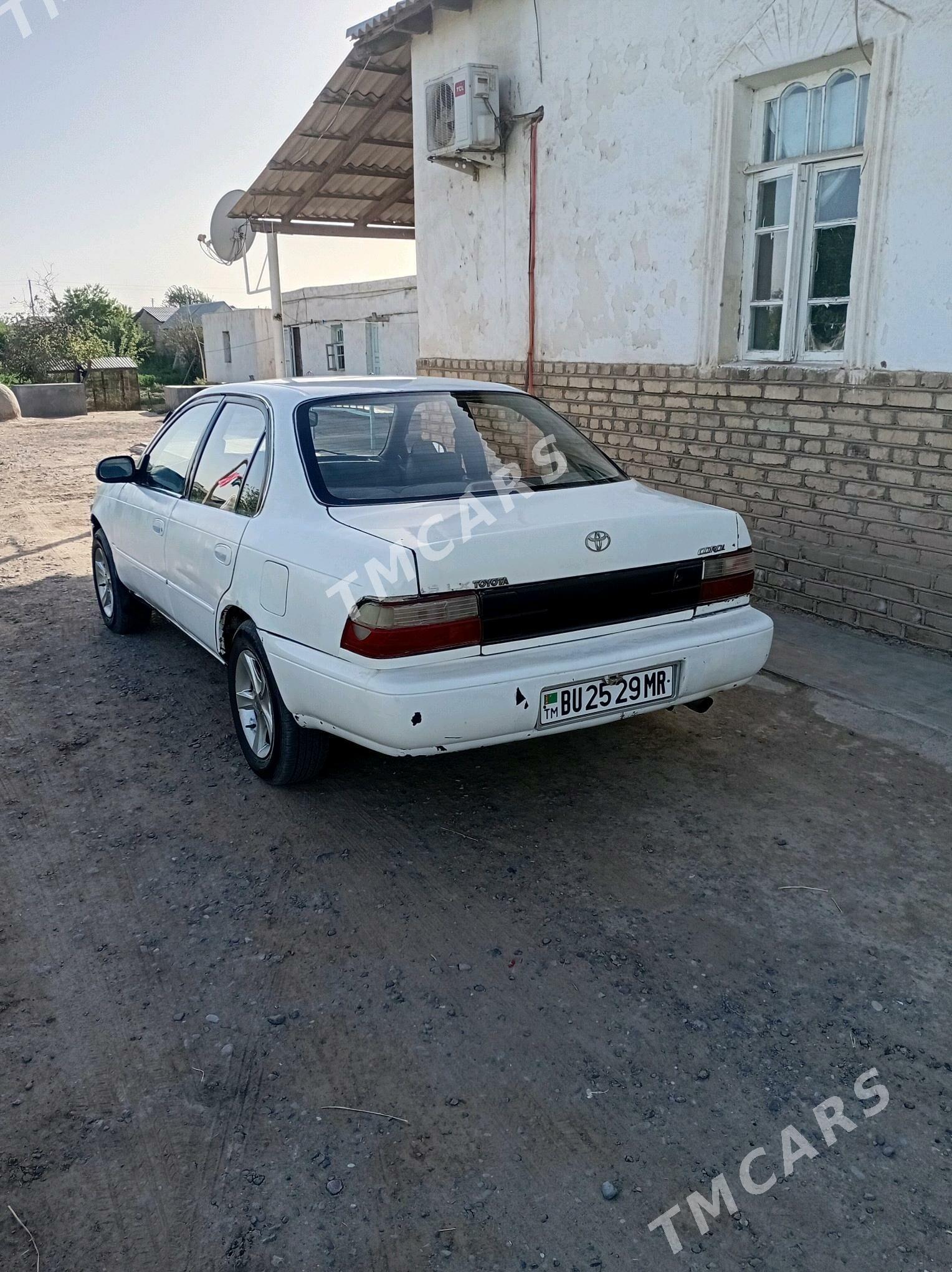 Toyota Corolla 1995 - 45 000 TMT - Türkmengala - img 5
