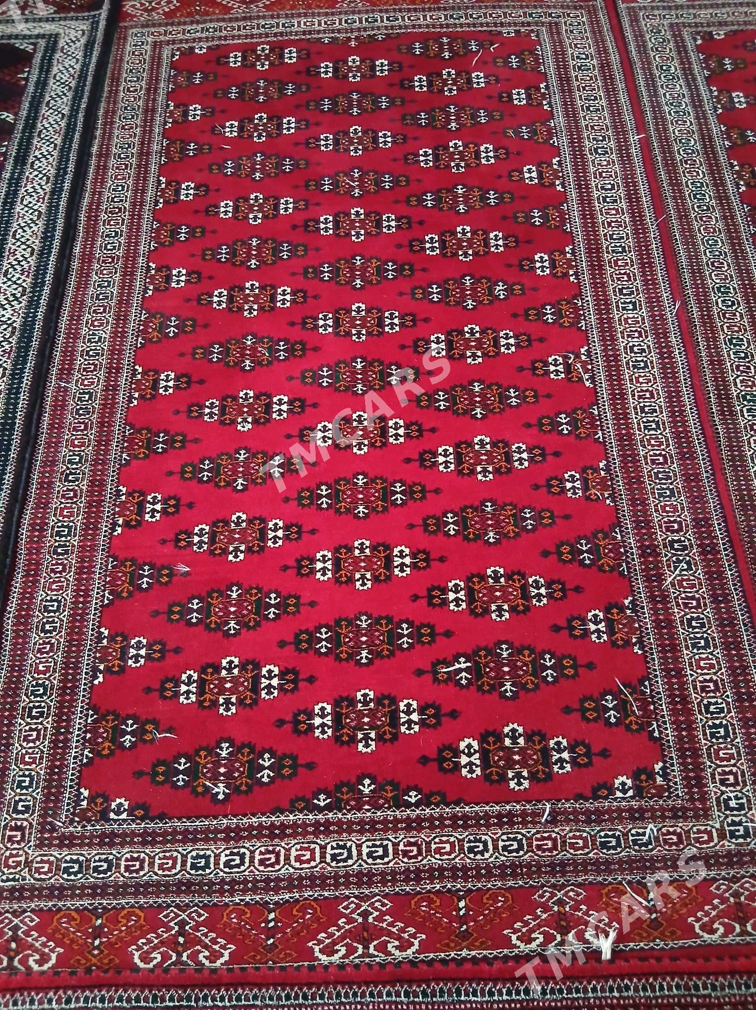 El haly - Gyzylarbat - img 4