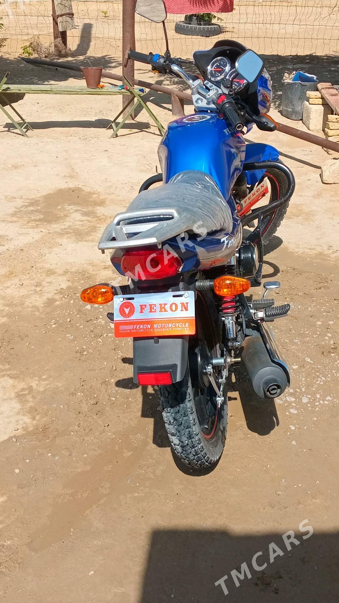 Fekon FK200-14G 2025 - 13 400 TMT - Этрек - img 5