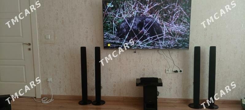 haly - Мир 8 - img 5