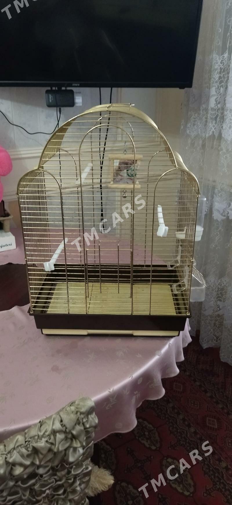 продам клетку для попугая - Türkmenabat - img 3