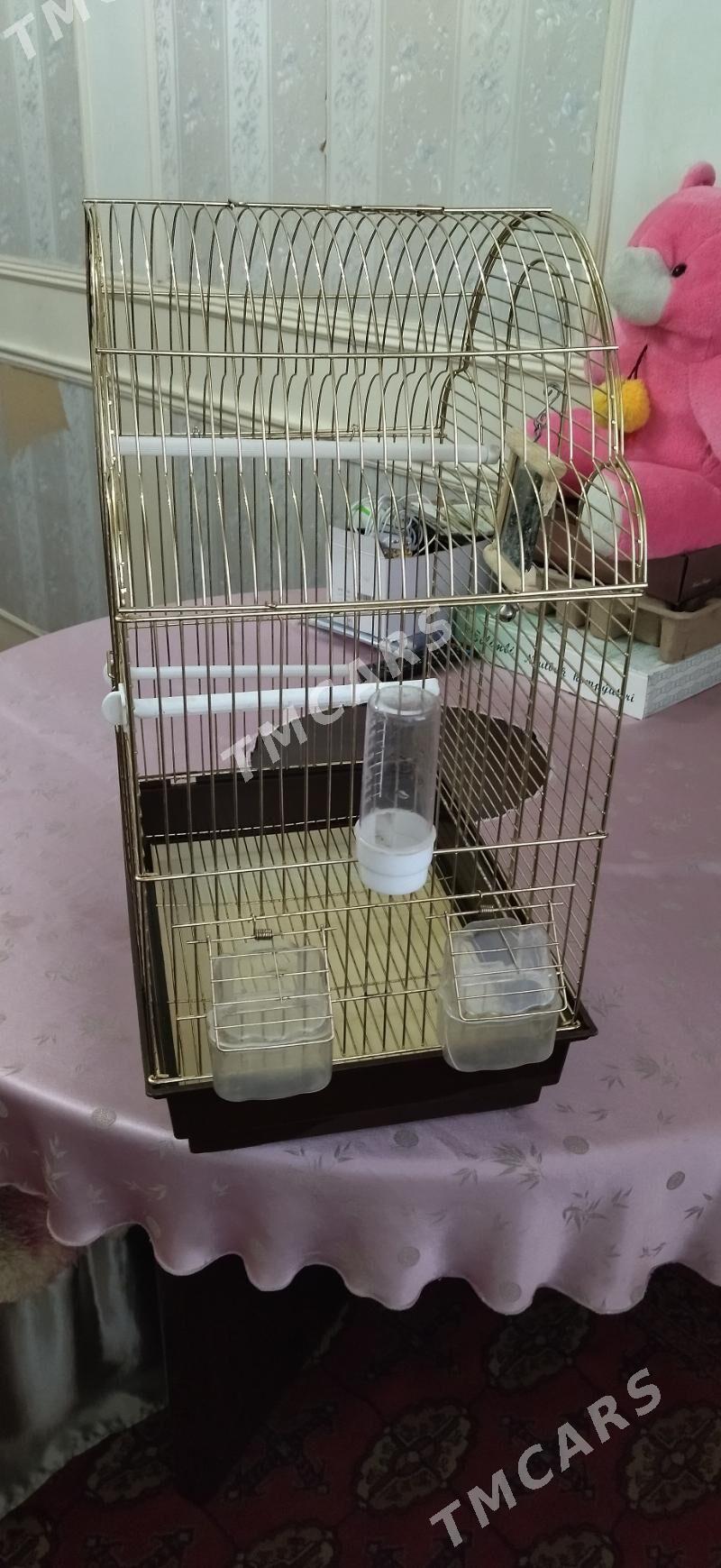 продам клетку для попугая - Türkmenabat - img 2