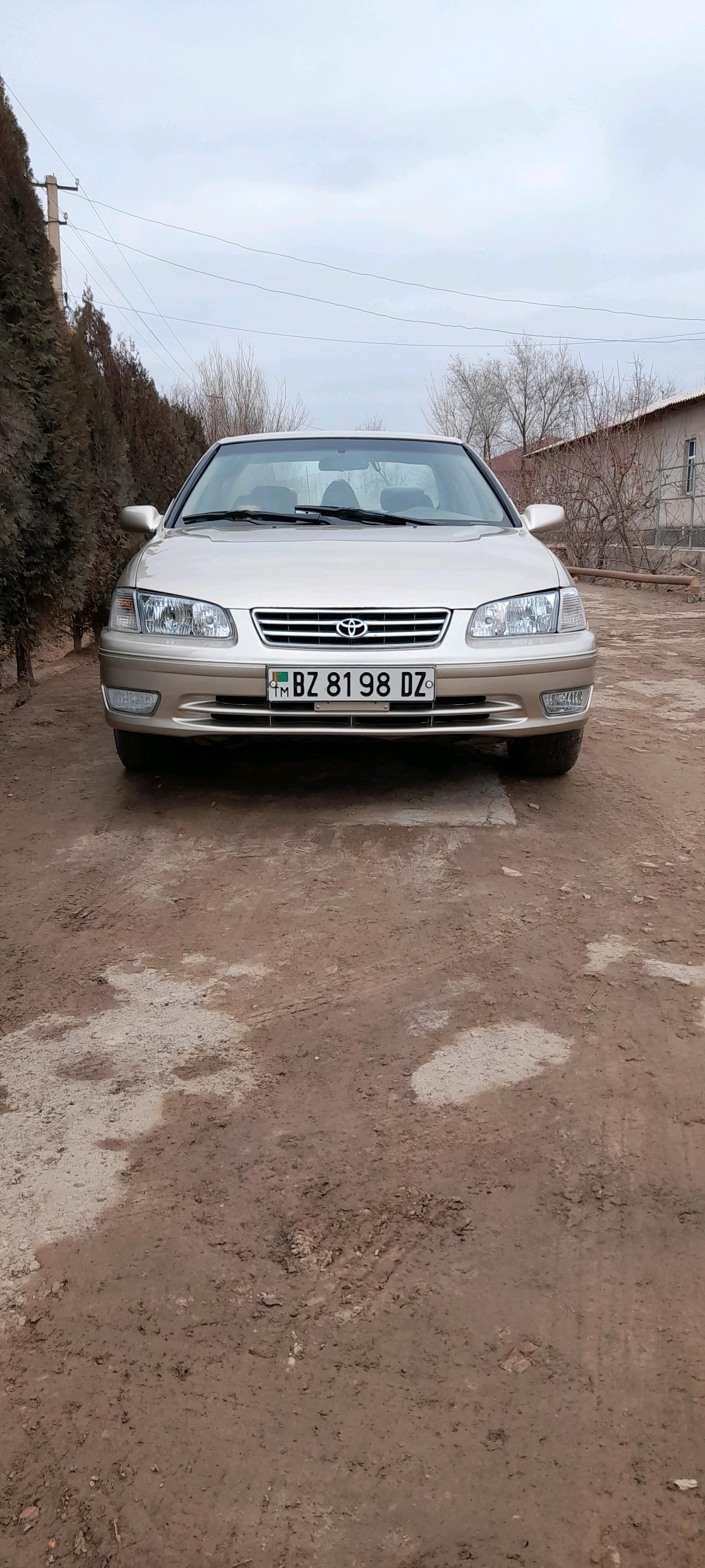 Toyota Camry 2000 - 145 000 TMT - Губадаг - img 4
