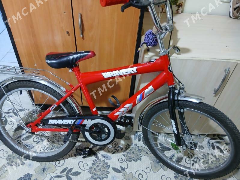 welsepit tigir - Büzmeýin - img 2