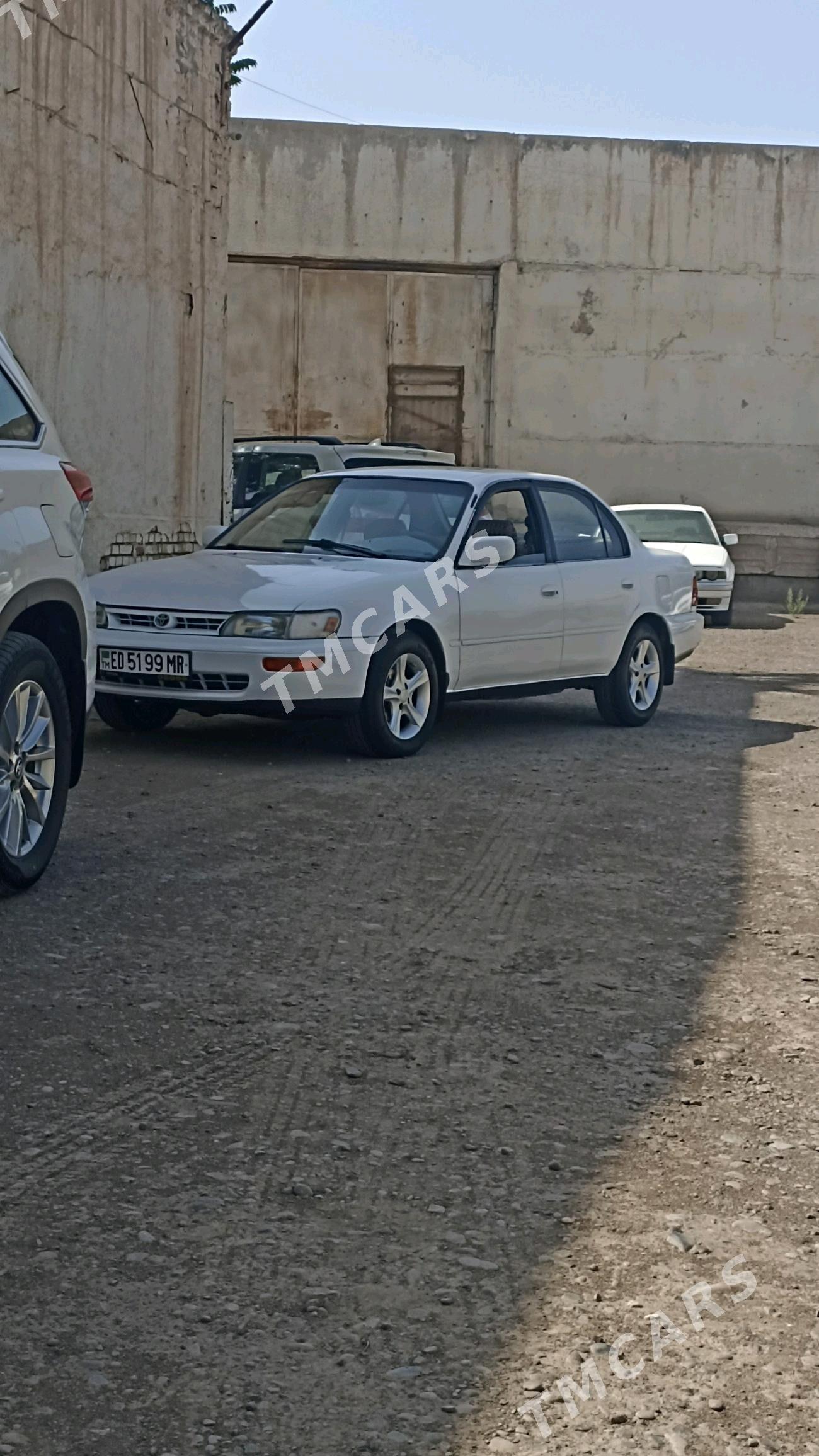 Toyota Corolla 1993 - 56 000 TMT - Sakarçäge - img 2