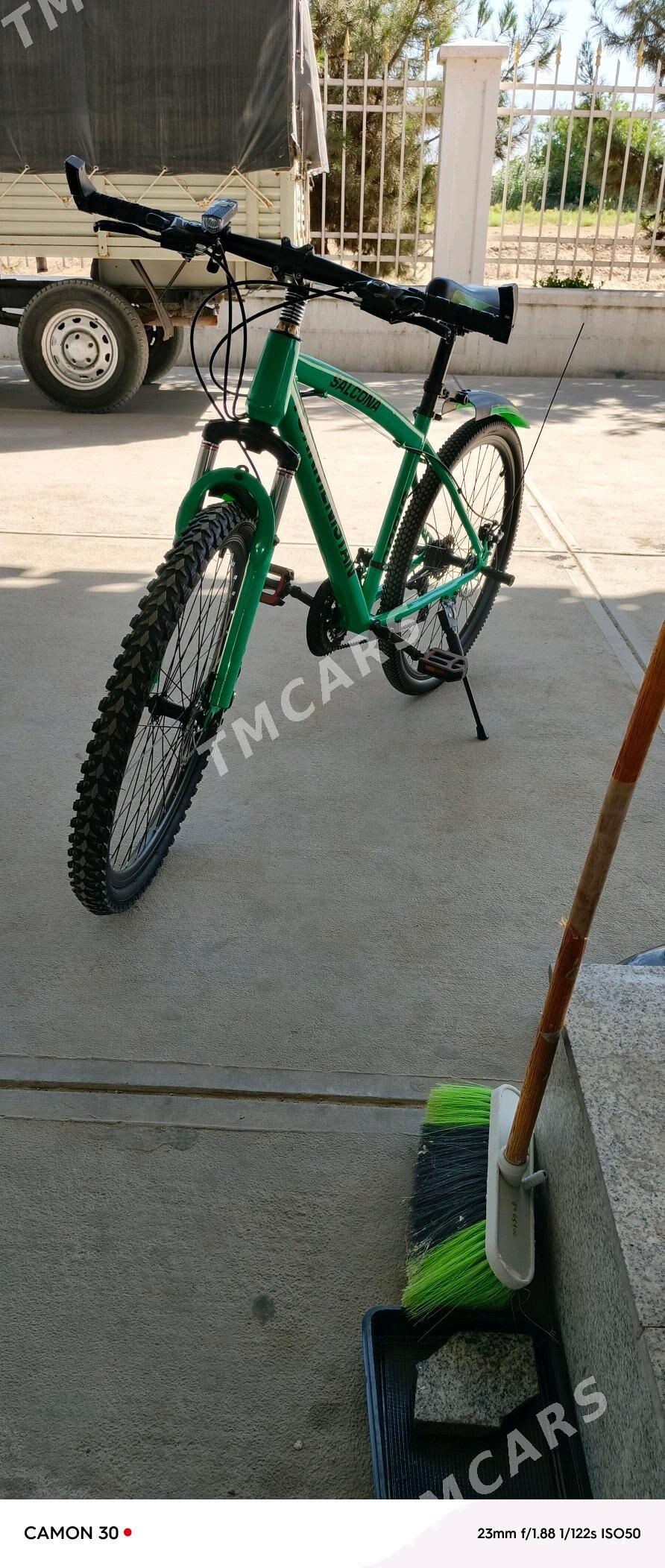 Turkmenistan tigir - Бедев - img 3