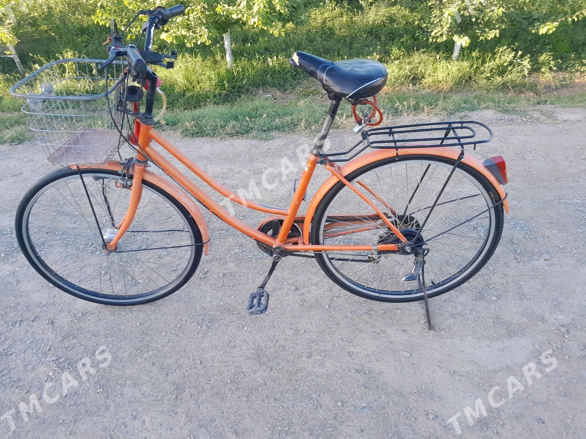 Tigir - Gökdepe - img 2