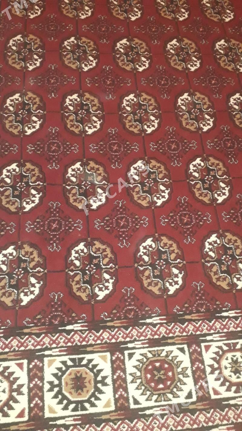 Haly - Türkmenbaşy - img 2