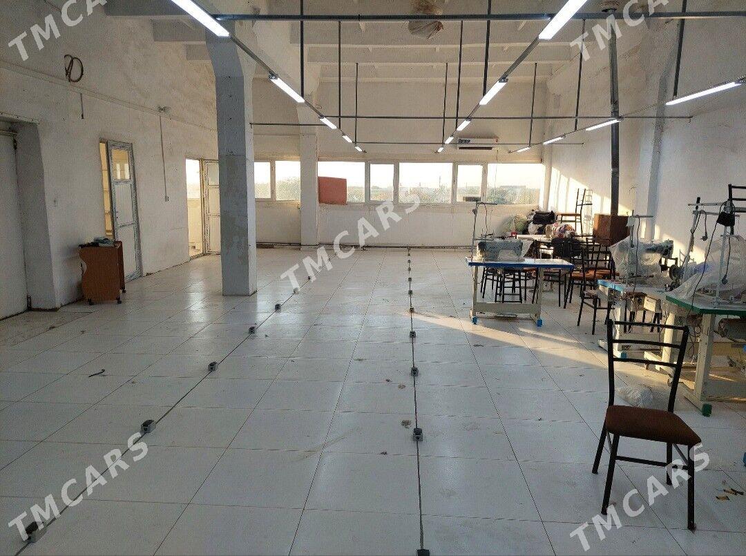 arenda karende ammar, onumcili - Mary - img 5