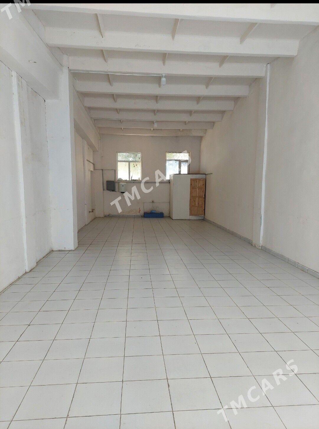 arenda karende ammar, onumcili - Mary - img 3