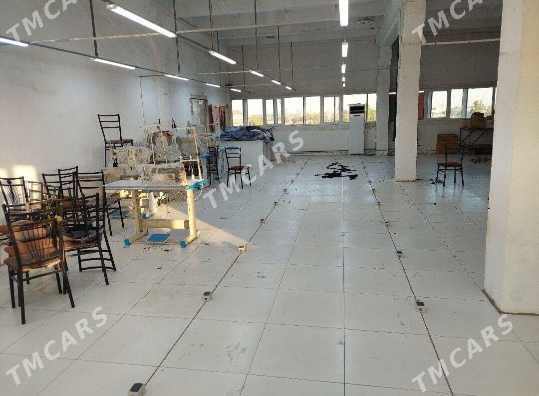 arenda karende ammar, onumcili - Mary - img 8