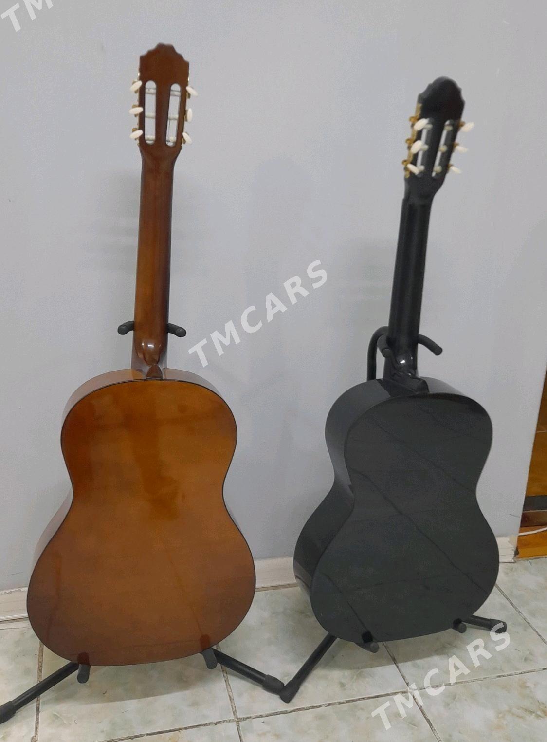 Täzeje Paket Gitaralar Гитара - Daşoguz - img 2