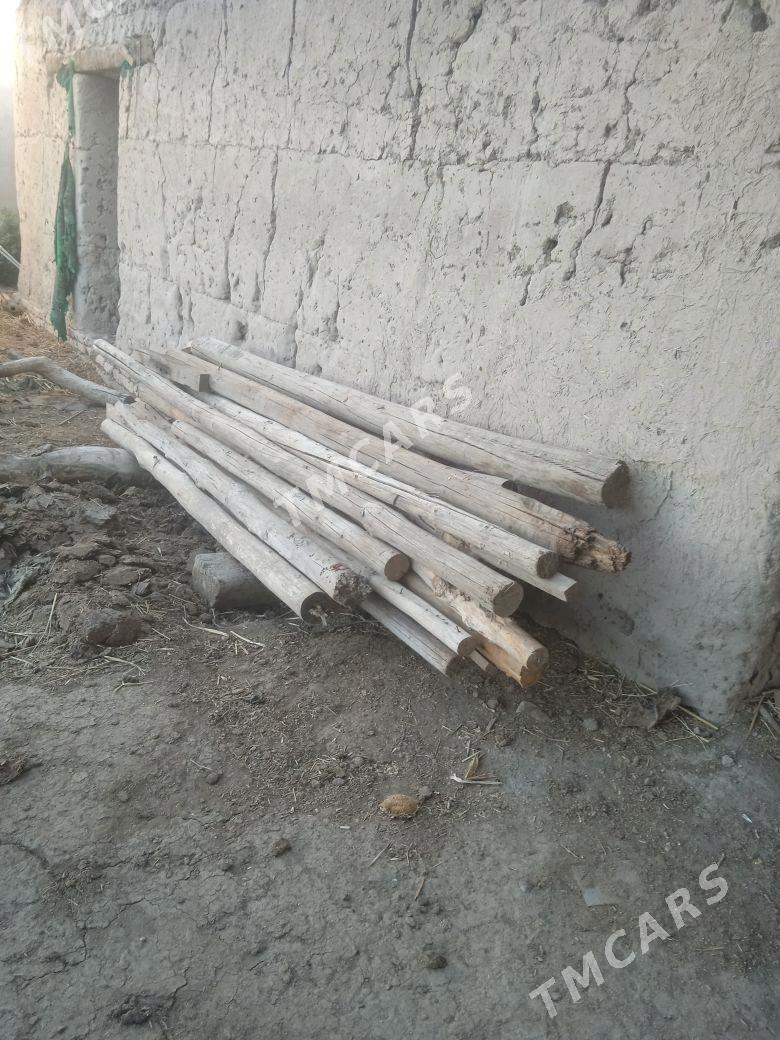 Ors agas - Дашогуз - img 2