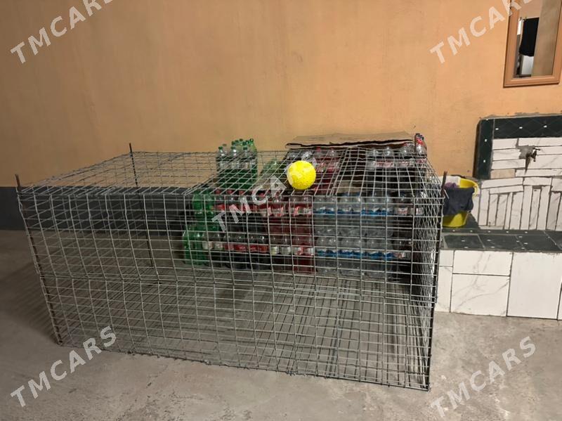 ketek птичник - Aşgabat - img 2