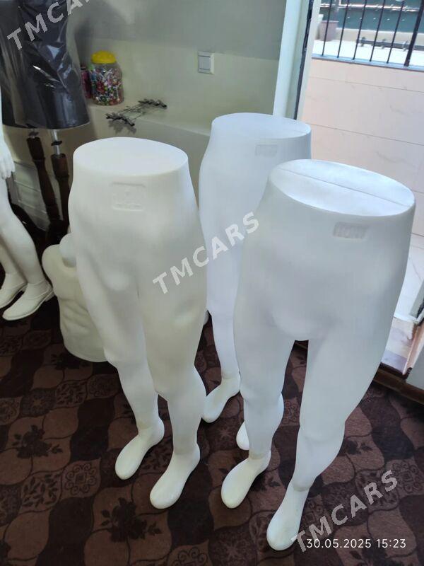 mruskoy maniken - Daşoguz - img 2
