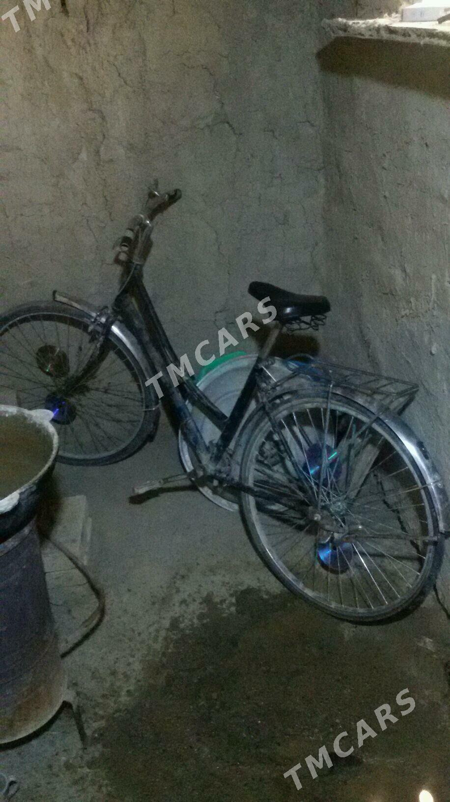 welsepet tigir - Wekilbazar - img 2