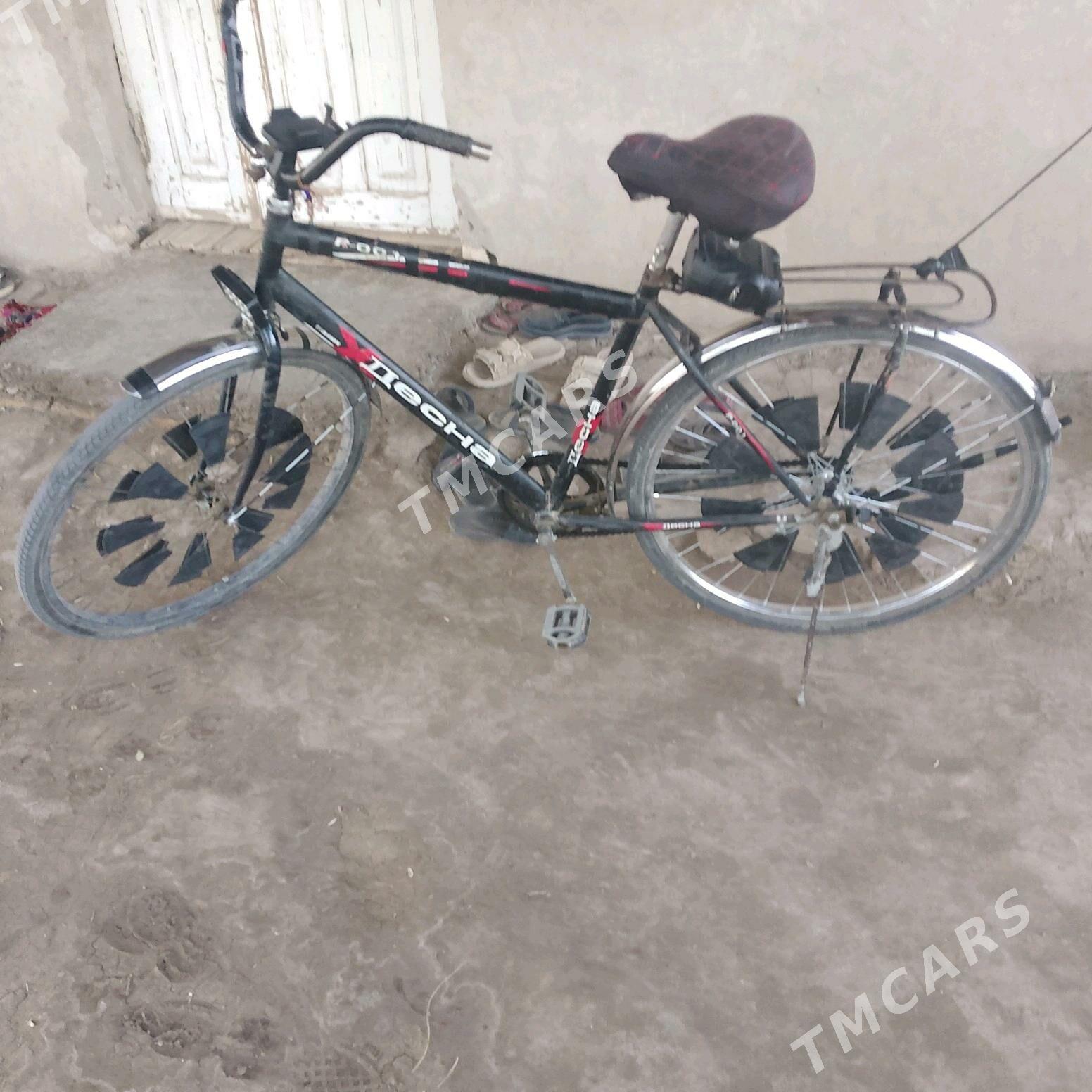 welsapet desna - Akdepe - img 2