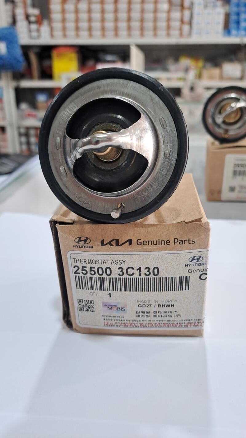 Termostat Hyundai Kia 10 TMT - Aşgabat - img 2