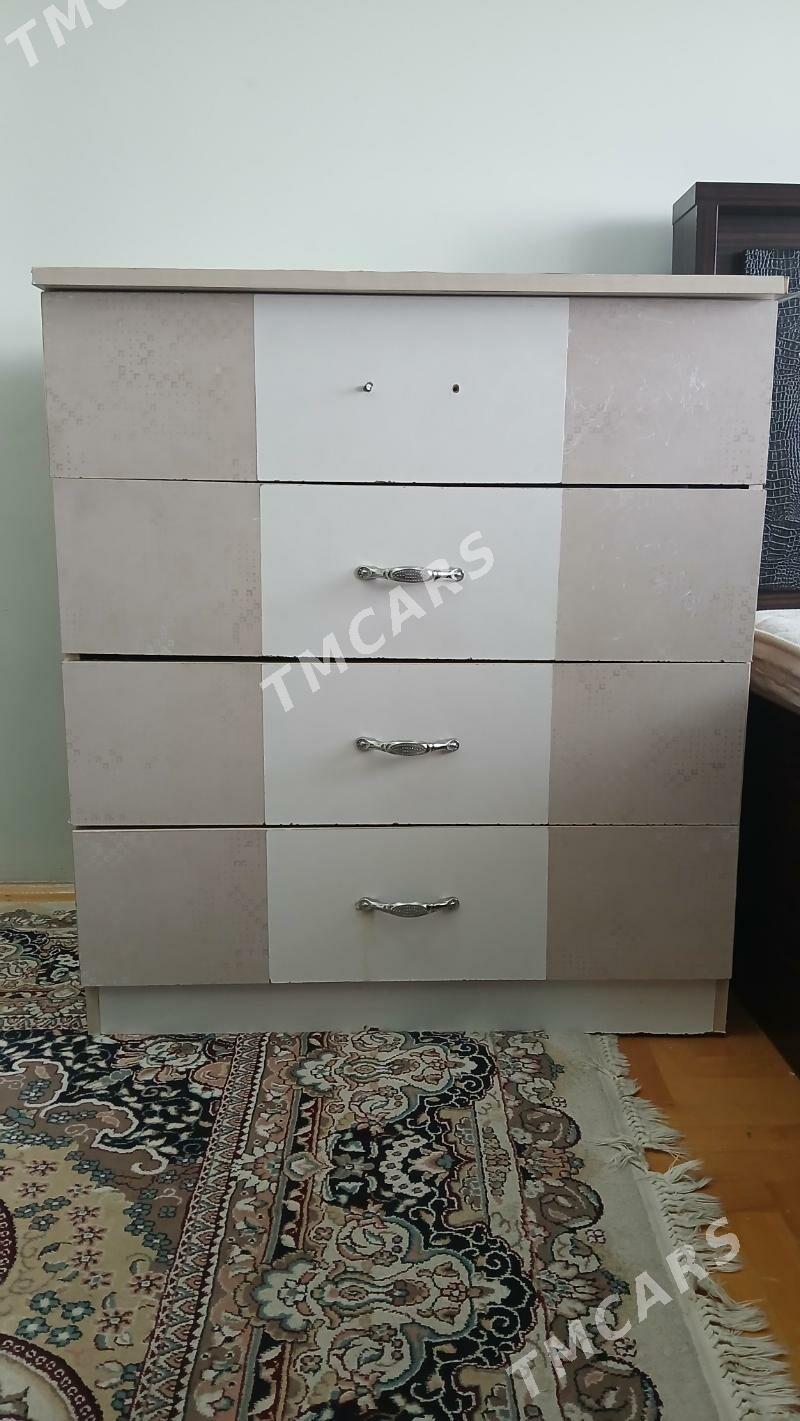 Çeker kamod - Podwoýski köç. (Bitarap Türkmenistan şaýoly) - img 2