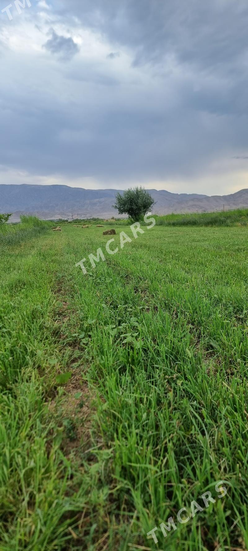 15 gektar - Aşgabat - img 3