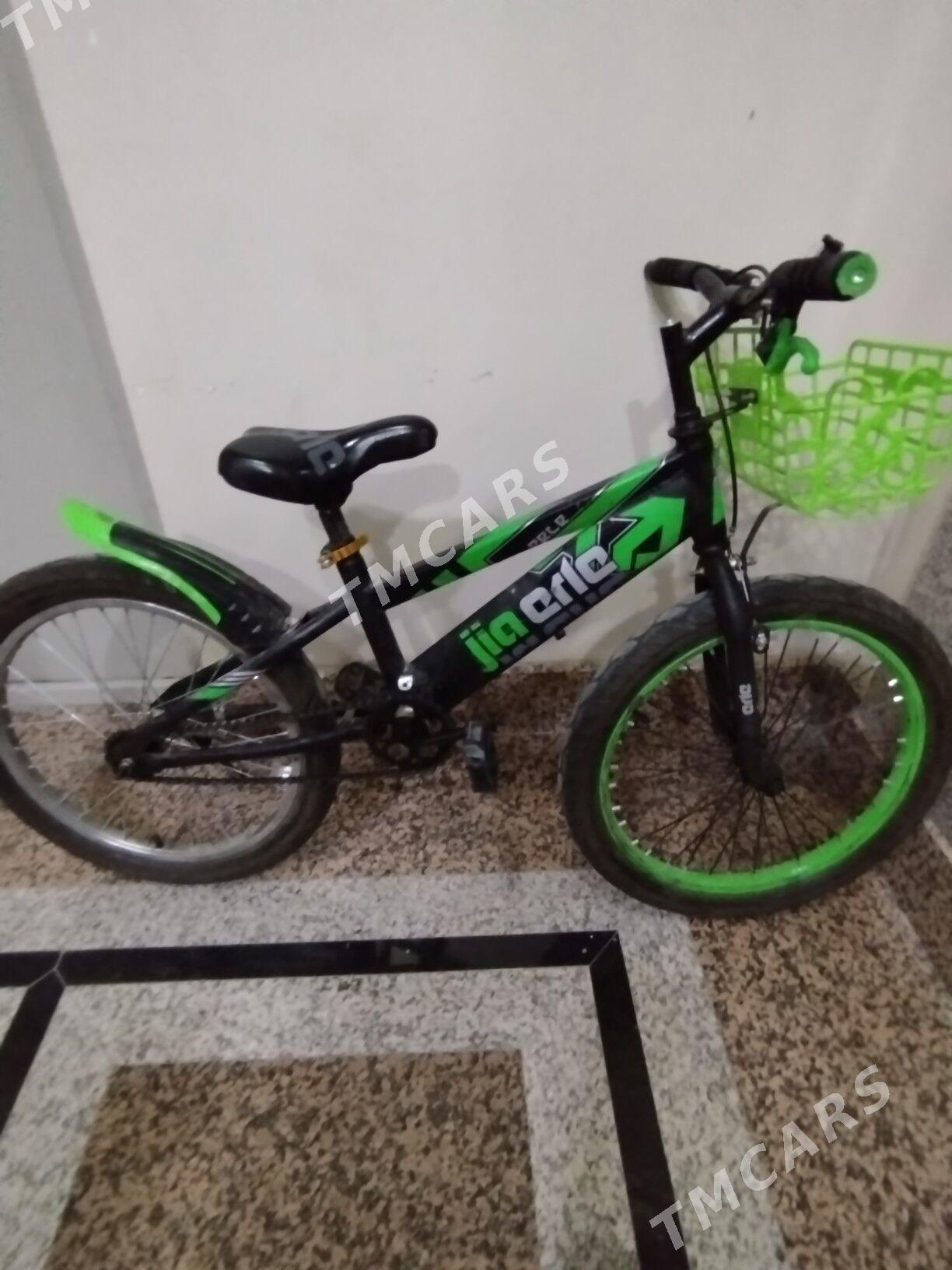 ćaga tigir - Aşgabat - img 2