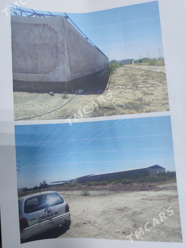 SATLYK BIZNES - Aşgabat - img 3