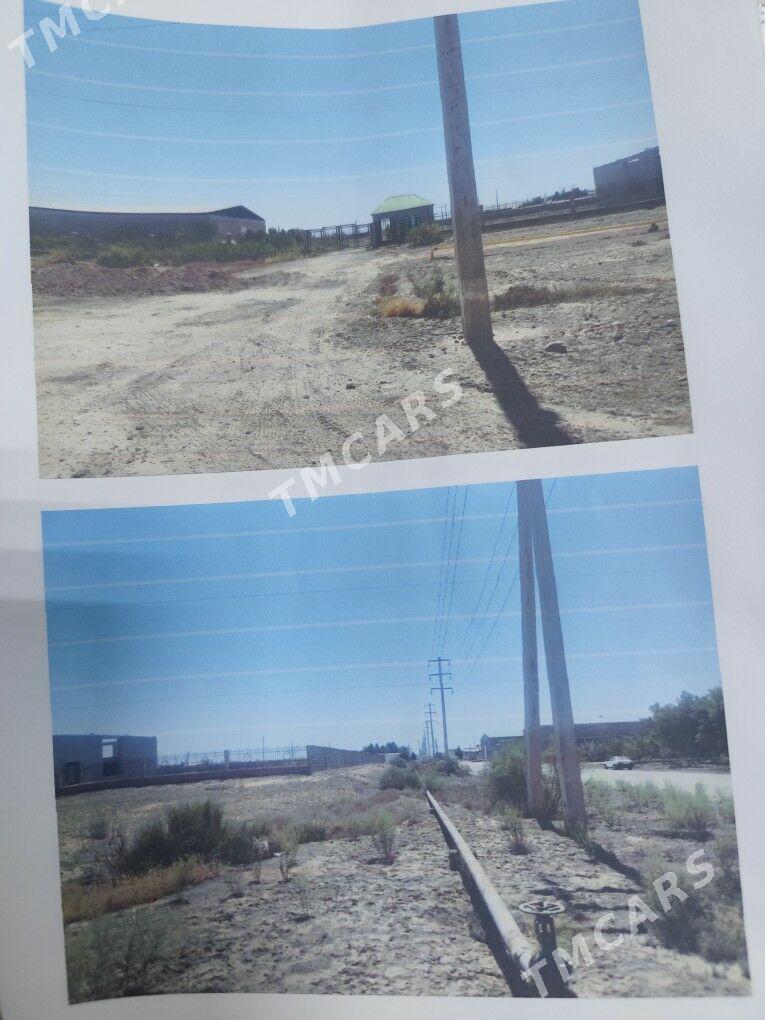 SATLYK BIZNES - Aşgabat - img 8