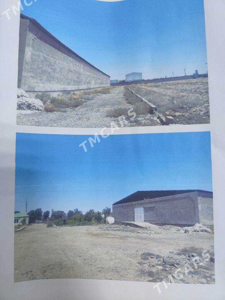SATLYK BIZNES - Aşgabat - img 10