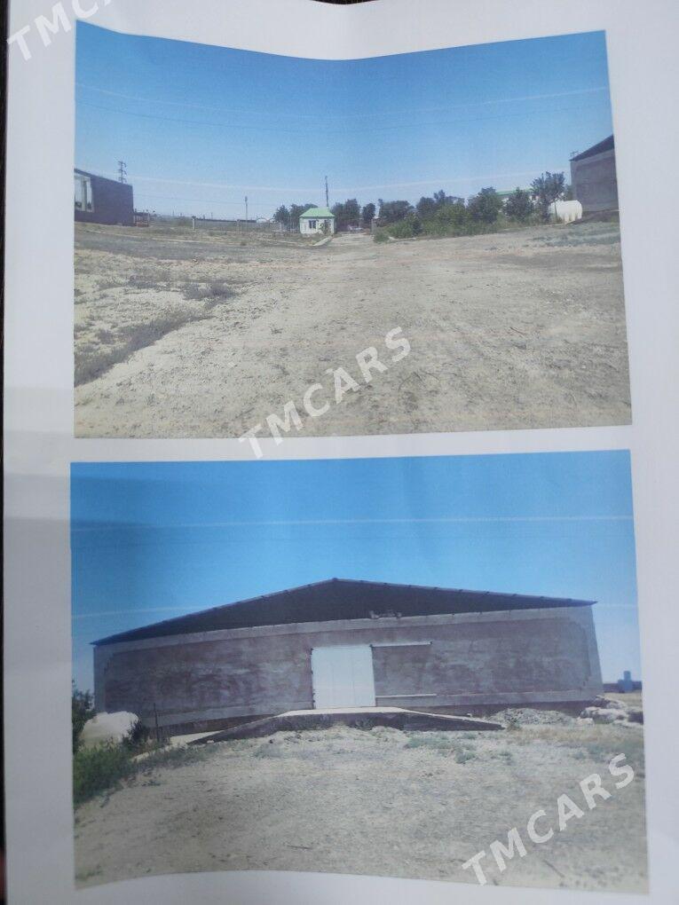 SATLYK BIZNES - Aşgabat - img 7