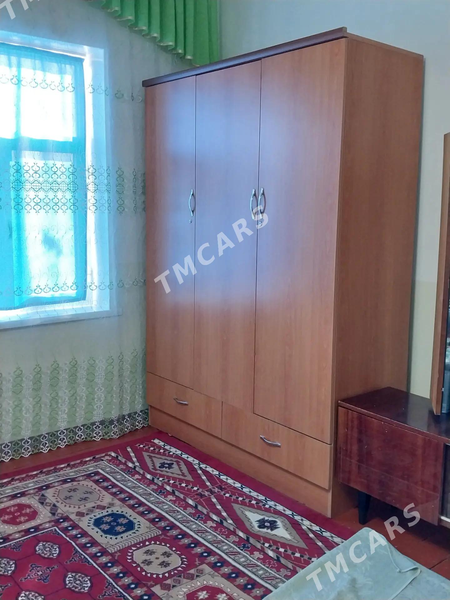 Şfaner - Сакарчага - img 2