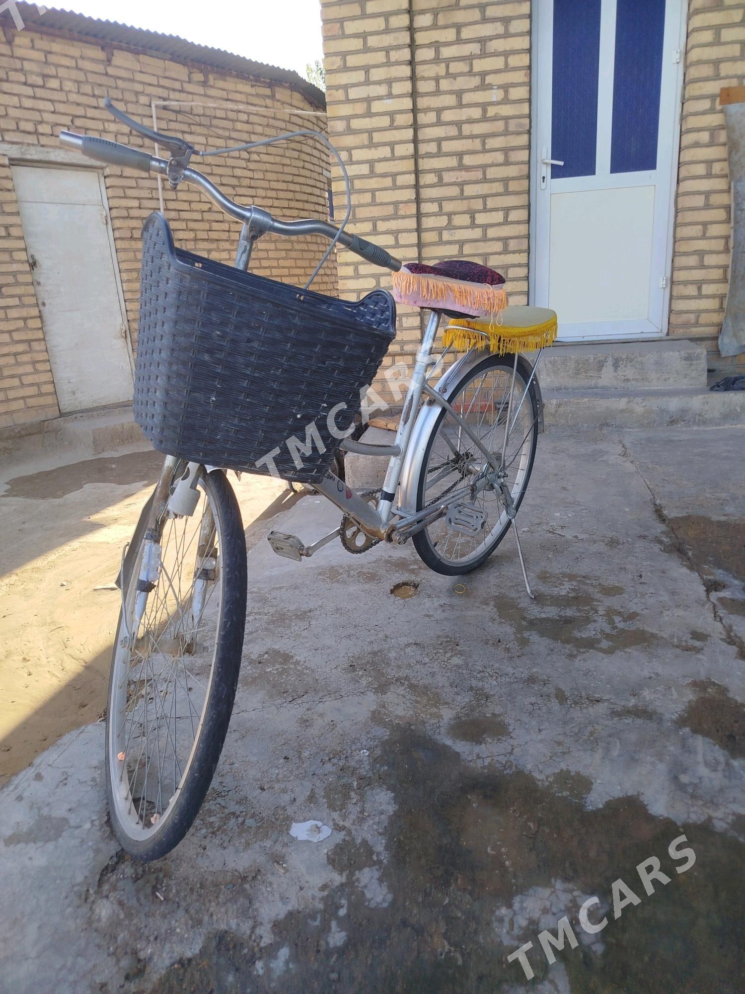 WELOSIPET 24lim - Сакарчага - img 3
