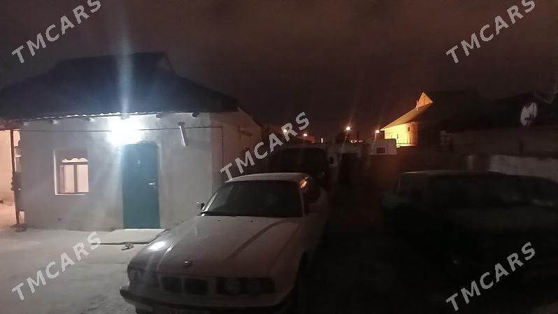 Satlyk cay - Balkanabat - img 2