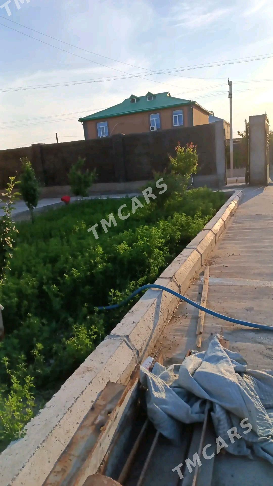 Коттедж жай - Сейди - img 8