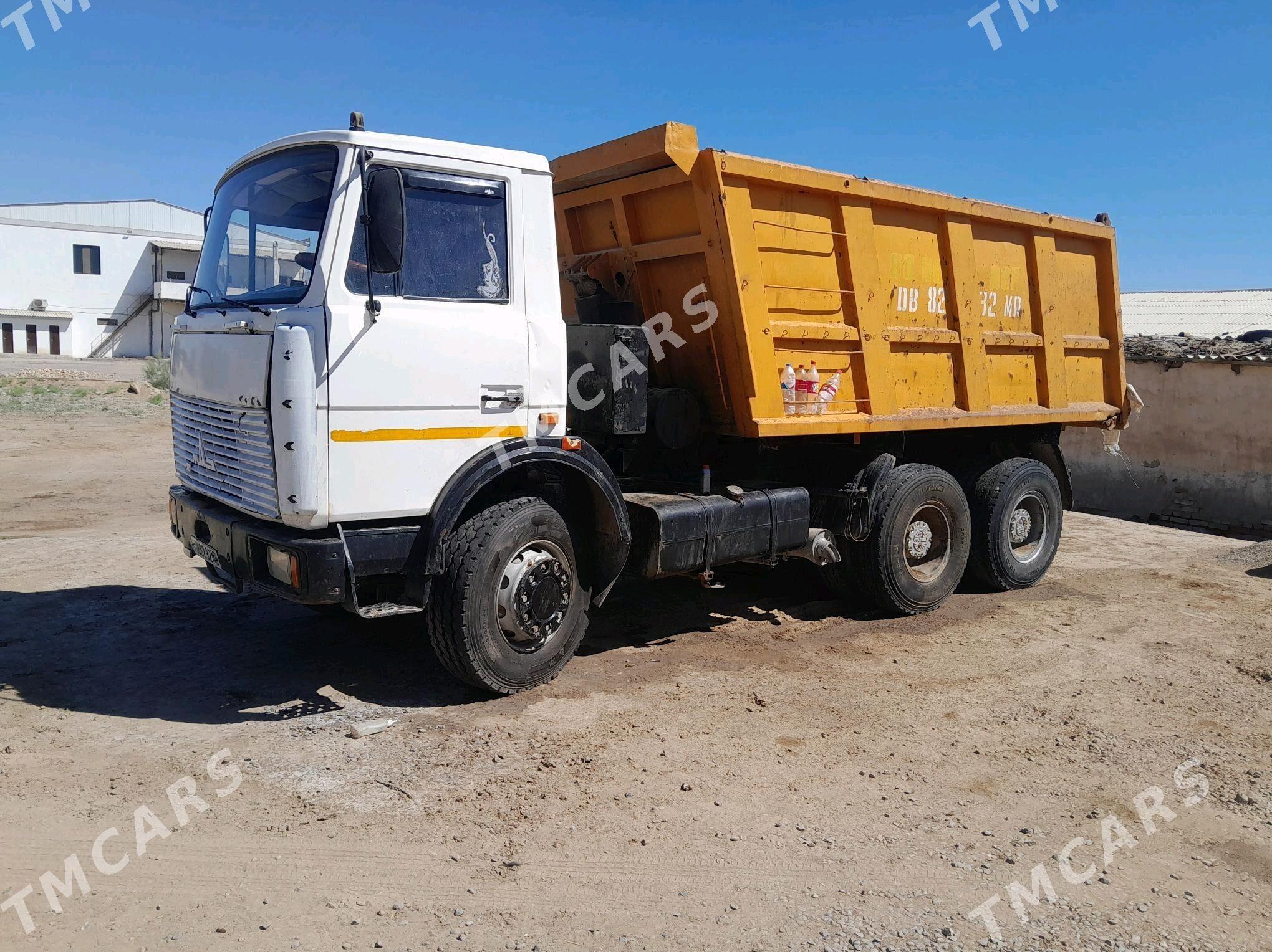 Maz Samosval 2012 - 350 000 TMT - Sakarçäge - img 2