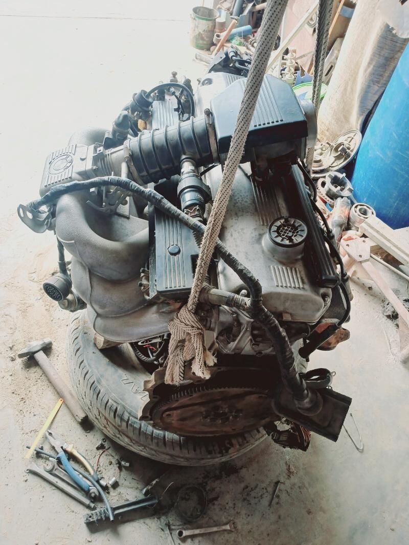 Mator 6 000 TMT - Esenguly - img 3