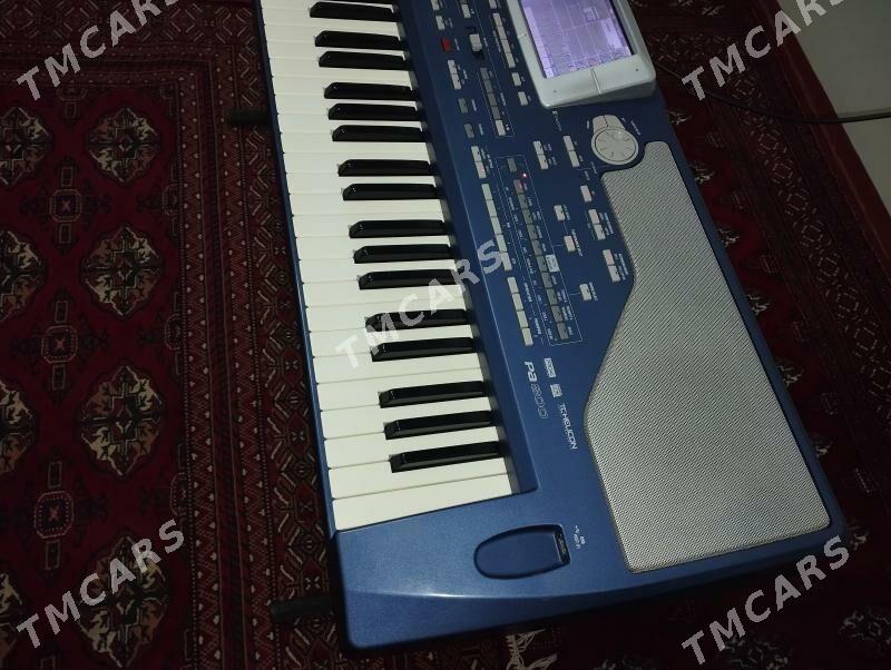 Korg Pa800 - Ёлётен - img 2