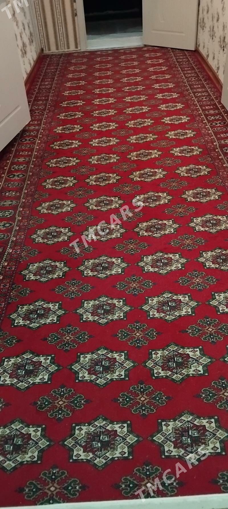 haly - Türkmenbaşy - img 2