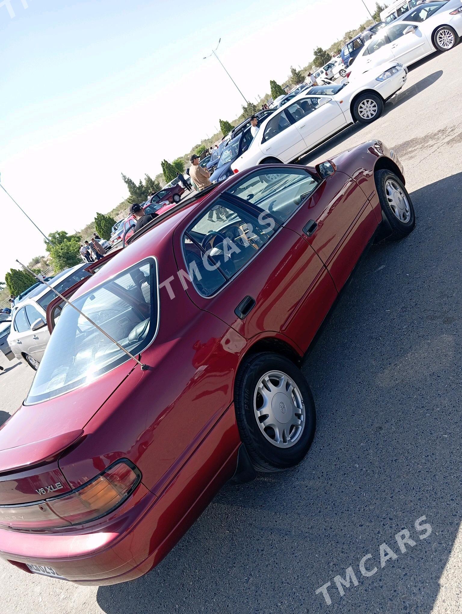 Toyota Camry 1993 - 90 000 TMT - Дянев - img 4