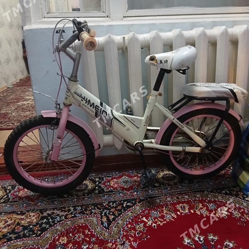 chaga tigir - Türkmenbaşy şaýoly - img 4